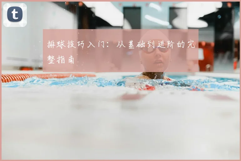 排球技巧入门：从基础到进阶的完整指南
