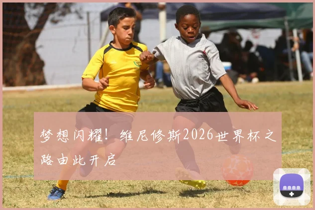 梦想闪耀！维尼修斯2026世界杯之路由此开启