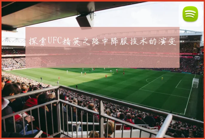 探索UFC精英之路中降服技术的演变