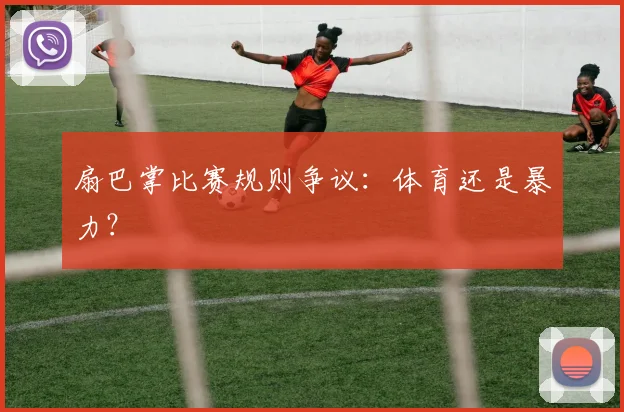 扇巴掌比赛规则争议：体育还是暴力？