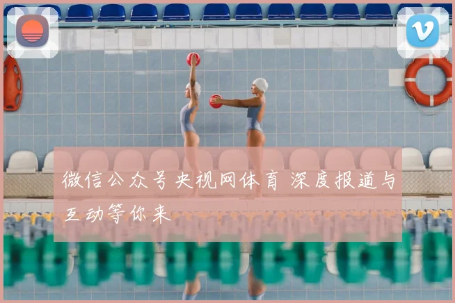 微信公众号央视网体育 深度报道与互动等你来