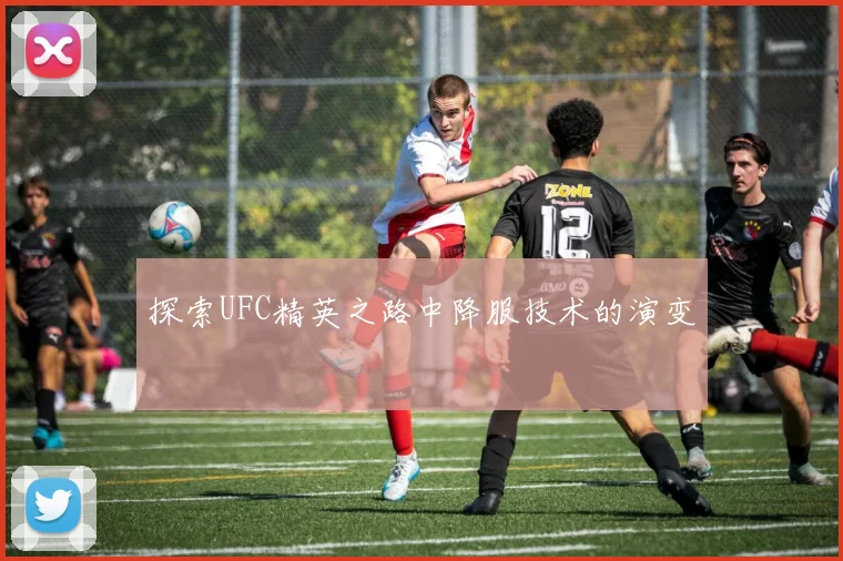 探索UFC精英之路中降服技术的演变